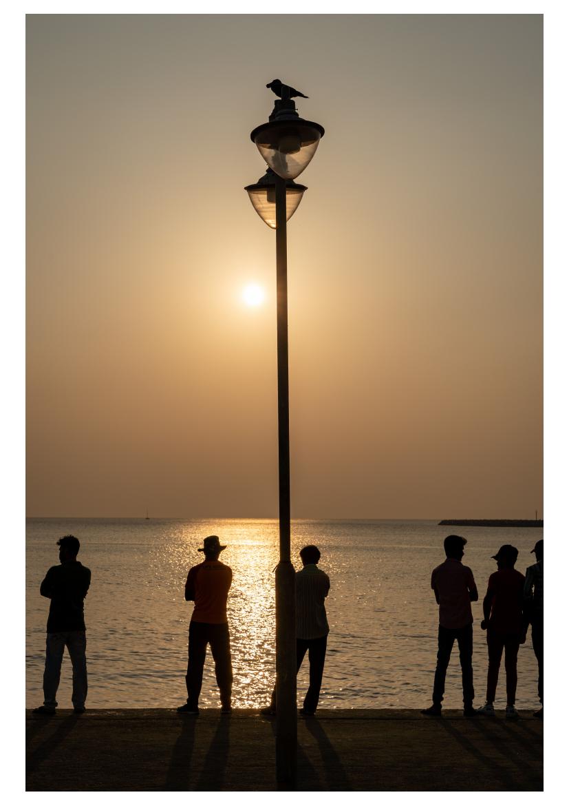 Silhouettes at sunset